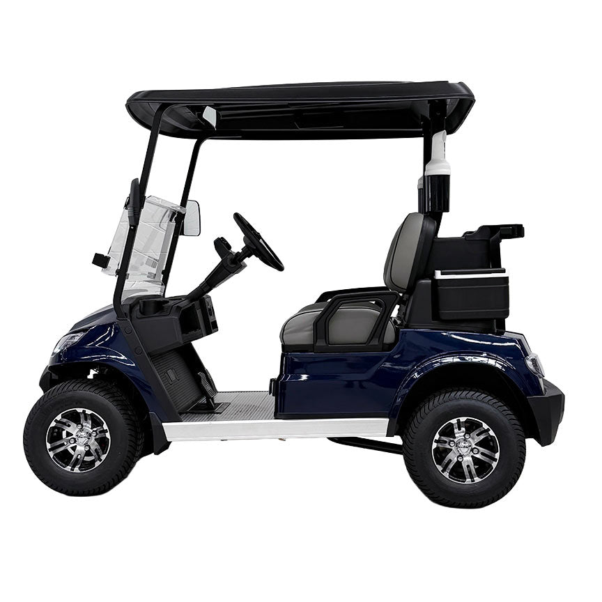 Global Carts 2 Seater Golf Cart