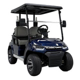 Global Carts 2 Seater Golf Cart