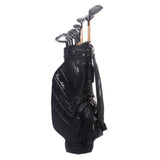 Peter Allis PA-06 Mens Full Graphite Package